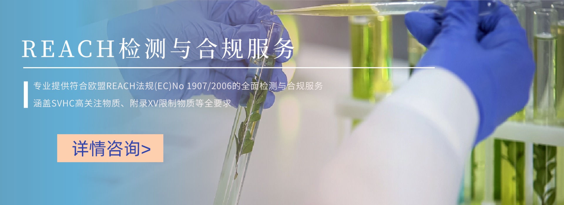 REACH檢測與合規服務(圖1) REACH檢測與合規服務(圖1)